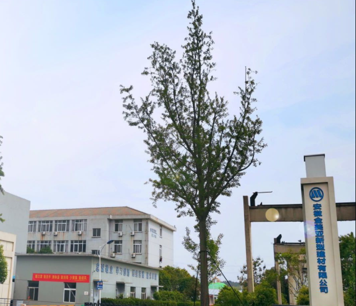 U9Cloud：钰之信科技助力金美亚集团信息化项目成功签约并启动运行